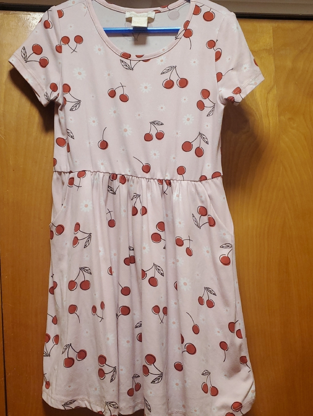 Pink Cherry Print Dress Size 6